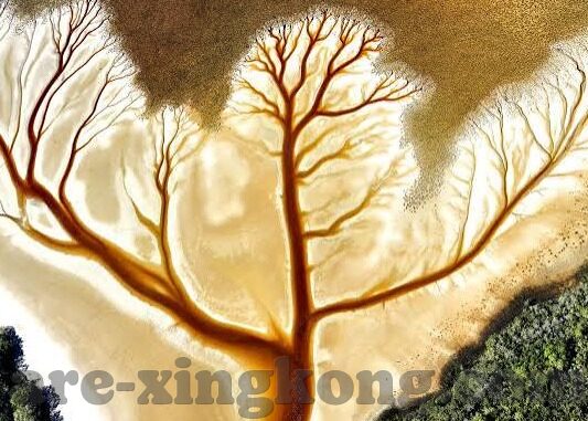 电劲足球比分-电劲足球比分，科技赋能下的足球数据新纪元