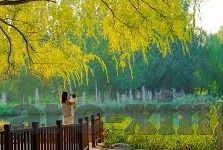 杏彩娱乐官方网站登录-杏彩娱乐官方网站登录，体验与探索